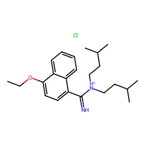 1-NAPHTHAMIDINE, N,N-DIISOPENTYL-4-ETHOXY-, HYDROCHLORIDE structure