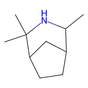 Compound C10H19N structure