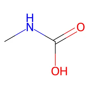 Methylcarbamic acid structure