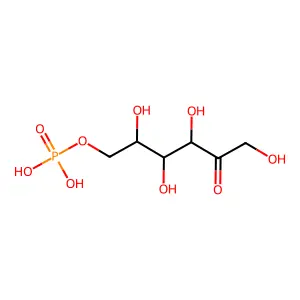 fructose-6-phosphate structure