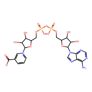 1-[(2R,3R,4S,5R)-5-[[[[(2R,3S,4R,5R)-5-(6-aminopurin-9-yl)-3,4-dihydroxyoxolan-2-yl]methoxy-hydroxyphosphoryl]oxy-hydroxyphosphoryl]oxymethyl]-3,4-dihydroxyoxolan-2-yl]pyridin-1-ium-3-carboxylate structure