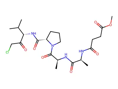 Meosuc-aapv-cmk structure
