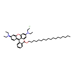 Octadecyl rhodamine B chloride structure