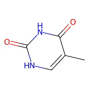 thymine structure