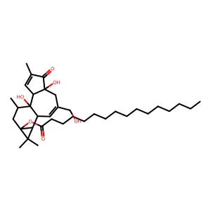 12-Deoxyphorbol 13-palmitate structure