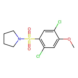 1-(2,5-dichloro-4-methoxyphenyl)sulfonylpyrrolidine structure