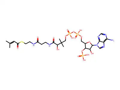 3-methylcrotonyl-CoA structure