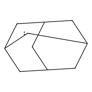 Adamantylidene structure