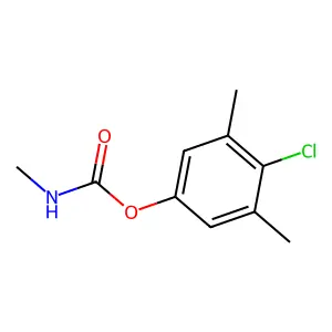 DRC 3342 structure