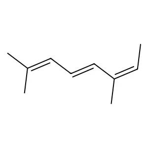 Compound C10H16 structure