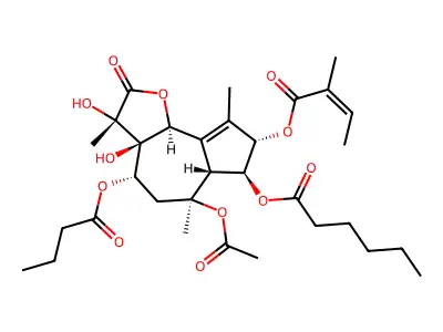 thapsigargicin structure
