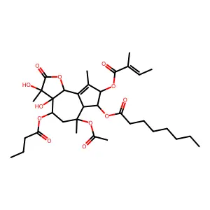 thapsigargin structure