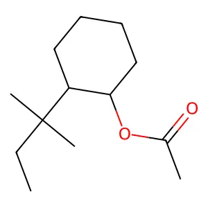 Coniferan structure