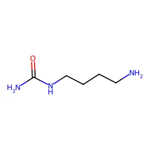 N-carbamoylputrescine structure