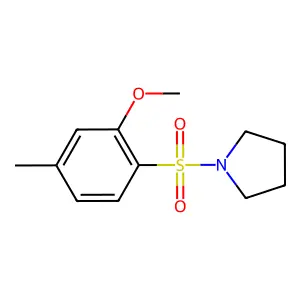 1-(2-methoxy-4-methylphenyl)sulfonylpyrrolidine structure