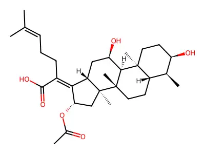 fusidic acid structure