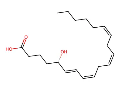 5-Hete structure