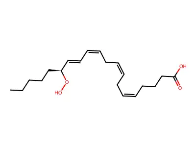 15(S)-HPETE structure