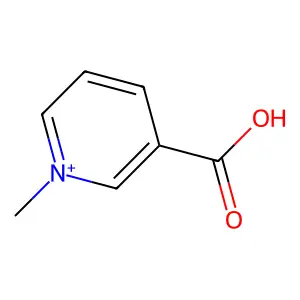 Compound C7H8NO2+ structure