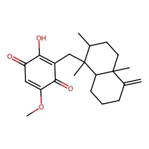 ilimaquinone structure