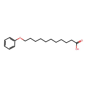 11-Phenoxyundecanoic acid structure