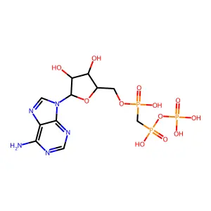 1tmm structure