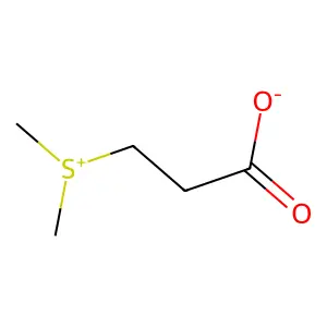 Dimethylpropiothetin structure