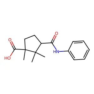 1,2,2-trimethyl-3-(phenylcarbamoyl)cyclopentane-1-carboxylic acid structure