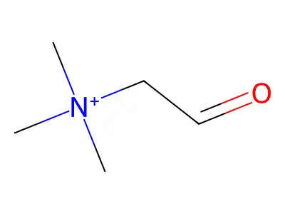 betaine aldehyde structure