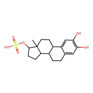 2-Hydroxyestradiol 17-sulfate structure