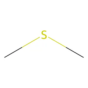 dimethyl sulfide structure