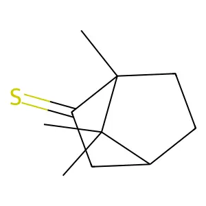 thiocamphor structure