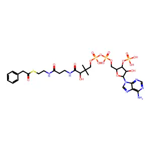Phenylacetyl CoA structure