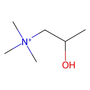 Compound C6H16NO+ structure