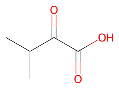 3-Methyl-2-oxobutanoic acid structure