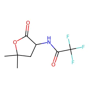 N-(5,5-dimethyl-2-oxooxolan-3-yl)-2,2,2-trifluoroacetamide structure