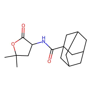 N-(5,5-dimethyl-2-oxooxolan-3-yl)adamantane-1-carboxamide structure