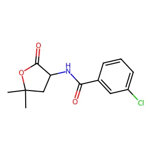 3-chloro-N-(5,5-dimethyl-2-oxooxolan-3-yl)benzamide structure