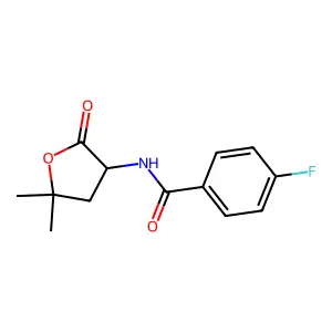 N-(5,5-dimethyl-2-oxooxolan-3-yl)-4-fluorobenzamide structure