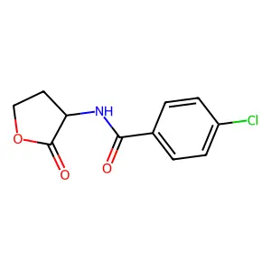 Compound C11H10ClNO3 structure
