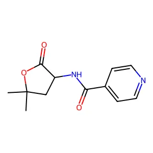 N-(5,5-dimethyl-2-oxooxolan-3-yl)pyridine-4-carboxamide structure