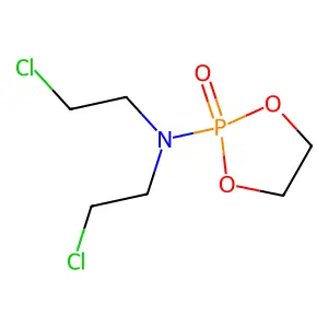 B 501 structure