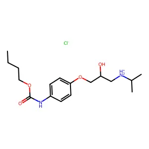 BL 443 structure
