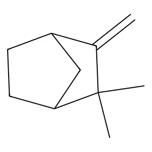 Compound C10H16 structure