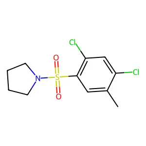 1-(2,4-dichloro-5-methylphenyl)sulfonylpyrrolidine structure