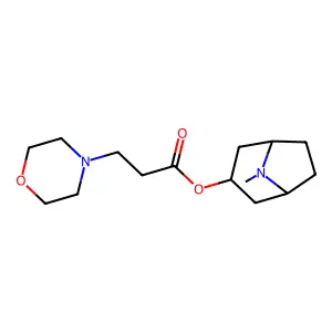 Motropin structure