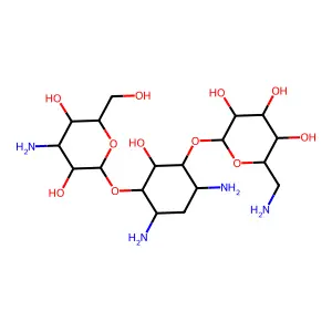 kanamycin structure