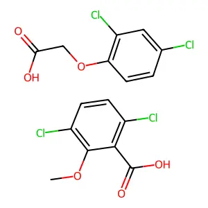 Aminopielik D structure