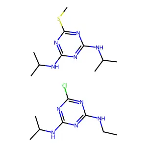 Agelon structure