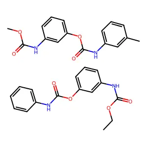 Betamix structure